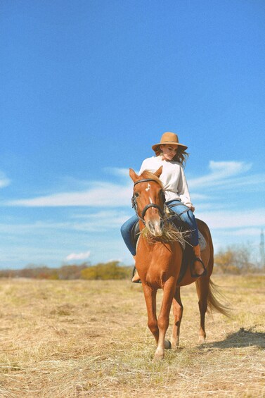 Hudson Valley: Guided Horseback Trail Ride with Lesson 1