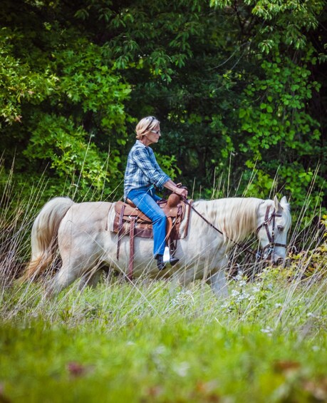 Picture 3 for Activity Hudson Valley: Guided Horseback Trail Ride with Lesson 2