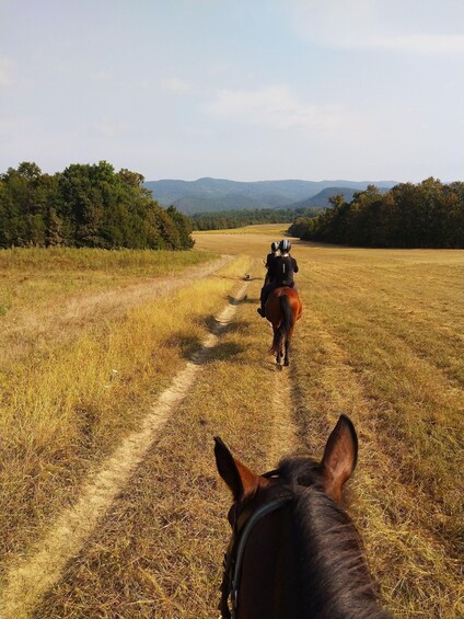 Picture 1 for Activity Hudson Valley: Guided Horseback Trail Ride with Lesson 3