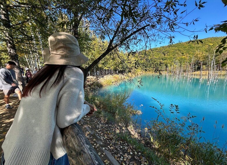 A person sitting by a lake with trees and a clear sky. 2