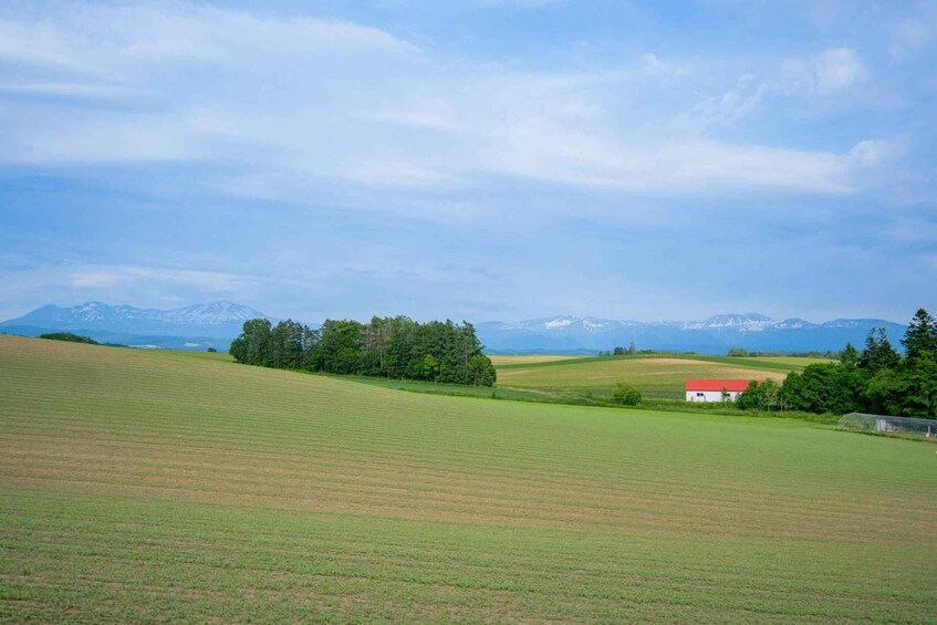 A rural landscape with rolling green fields, a white building with a red roof, and distant snow-capped mountains under a partly cloudy sky. 1