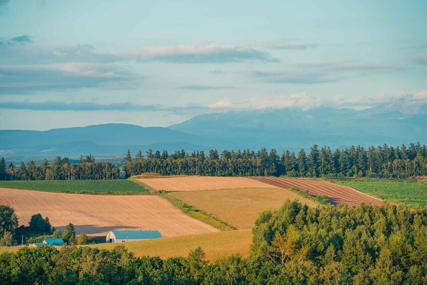 Rolling farmland, a blue pond, and distant mountains. 5