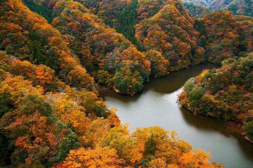 A river winding through a forest with autumn foliage. 3