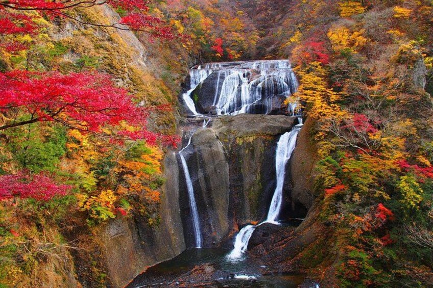 A waterfall cascading over a cliff surrounded by autumn foliage. 4