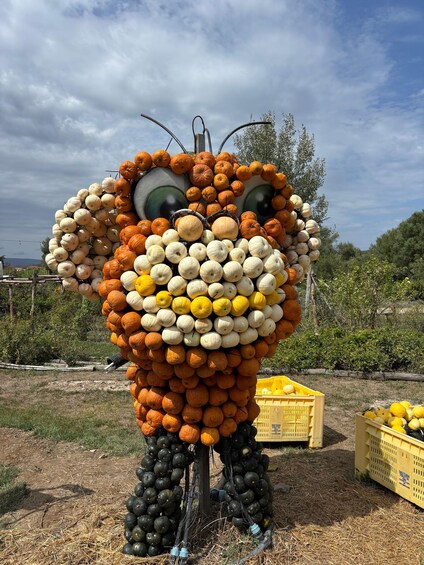 A pumpkin sculpture resembling a face with large eyes and a mouth made of pumpkins. 3