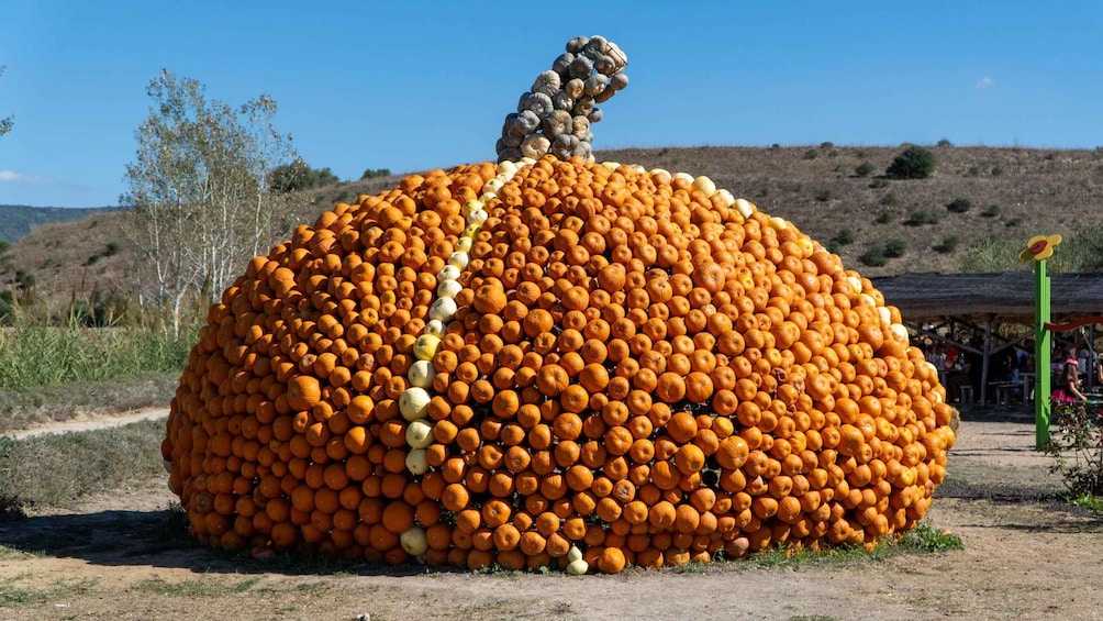 A large pumpkin sculpture with a human figure on top, surrounded by a field. 5