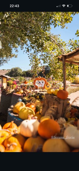 A market with various fruits and vegetables displayed under a tree. 1