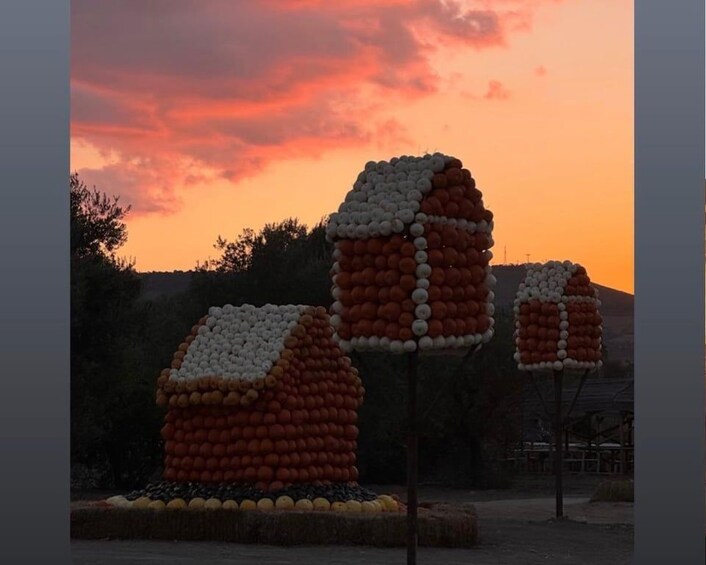 A sculpture made of fruits at sunset. 2
