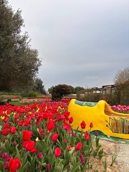 A garden with red tulips and a yellow bench. 4