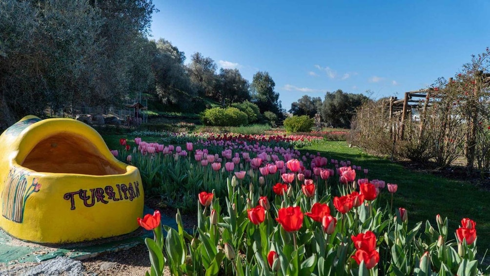 A garden with a yellow sculpture and rows of red and pink tulips. 3