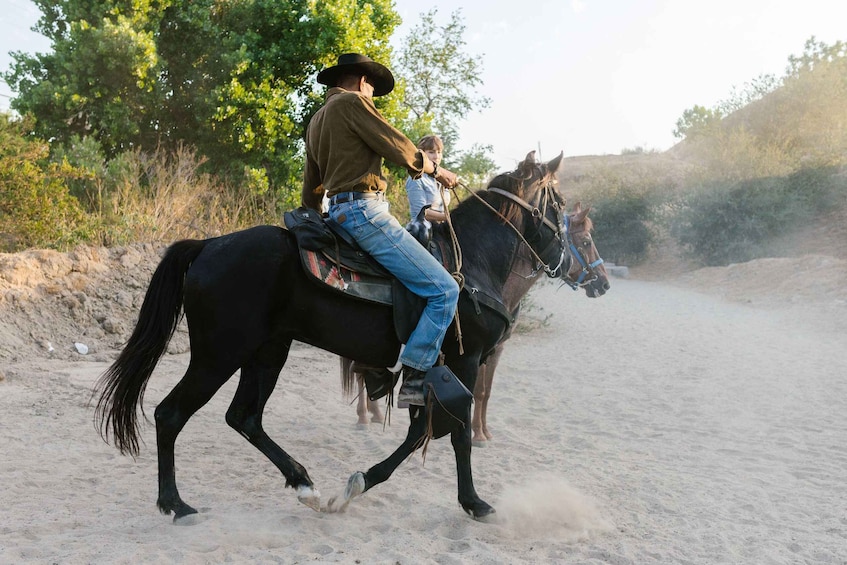 A person riding a horse on a sandy path with trees in the background. 1