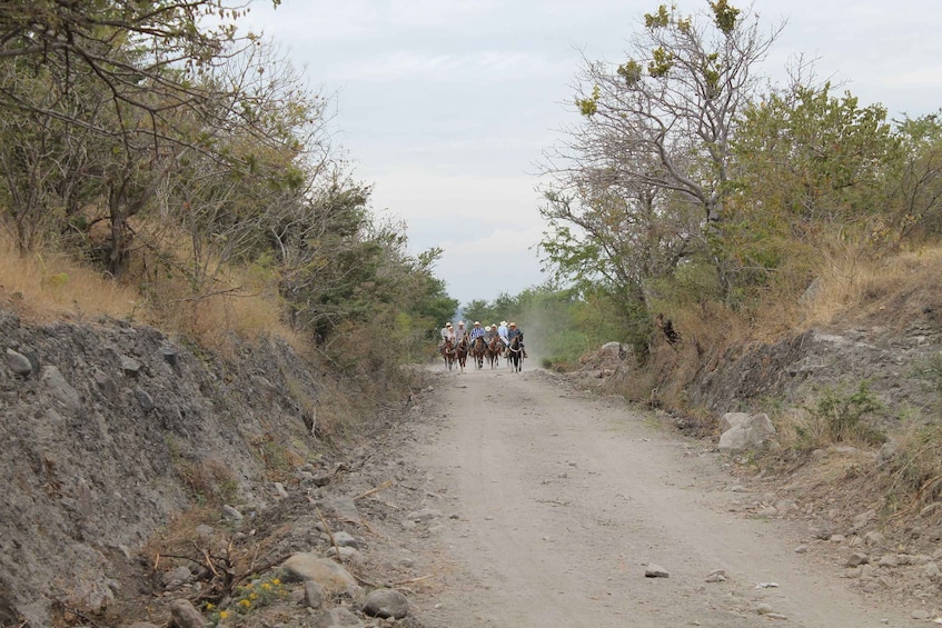 A group of people riding horses down a dirt road surrounded by sparse vegetation and rocky terrain. 3