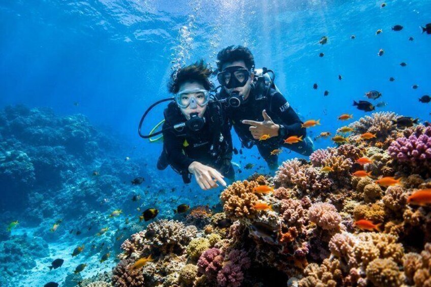 Two divers underwater with coral reefs and fish. 3