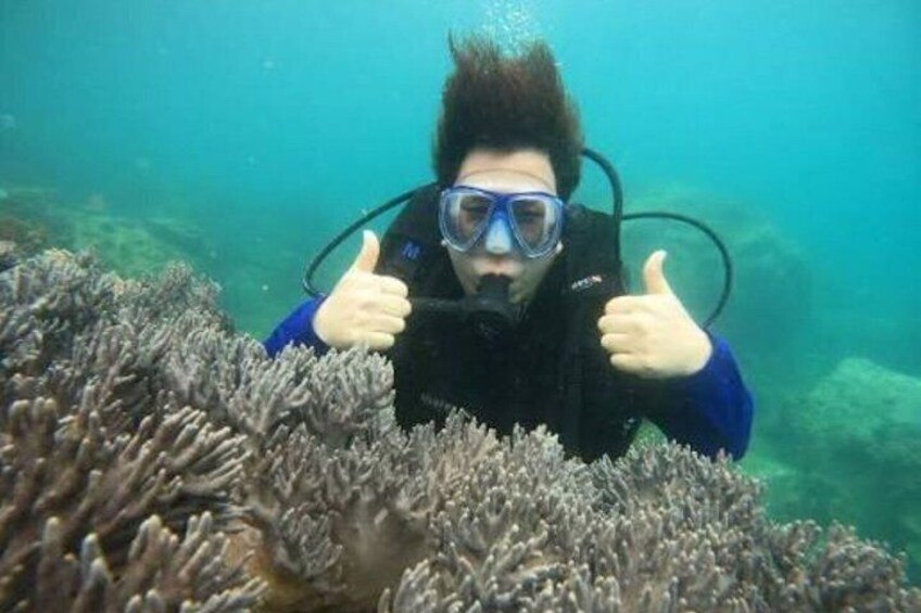 A diver giving a thumbs-up underwater near coral. 1