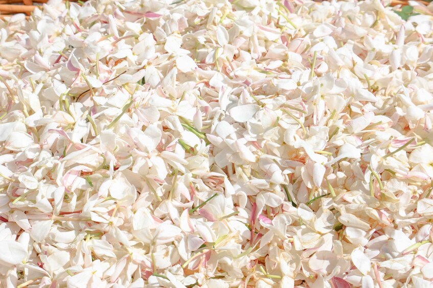 A close-up of white flower petals. 5