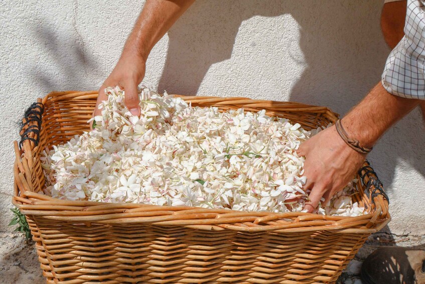 A wicker basket filled with white flowers. 1