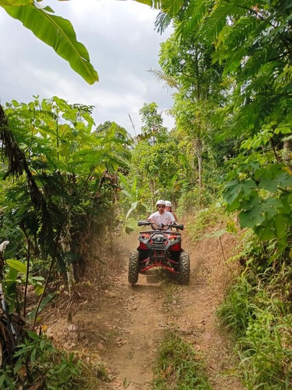Een persoon rijdt op een rode quad over een onverharde weg, omringd door dichte groene begroeiing. 2