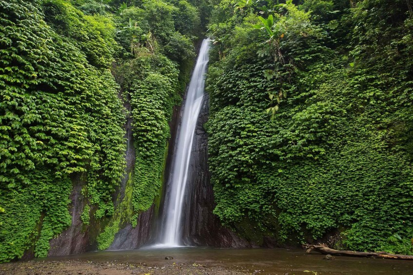 Een waterval omringd door weelderige vegetatie. 1