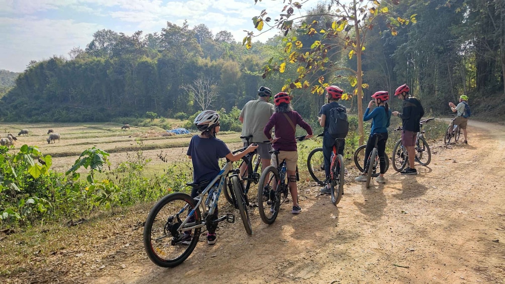 A group of cyclists on a dirt path with elephants in the background. 1
