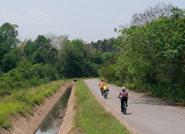 Cyclists on a narrow road flanked by dense greenery and a water channel. 3