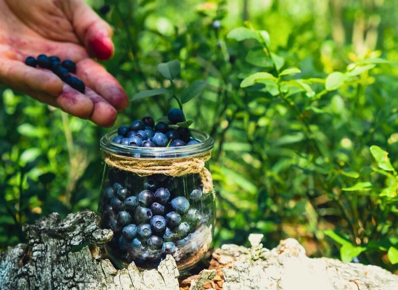 A hand placing blueberries into a glass jar tied with twine. 2