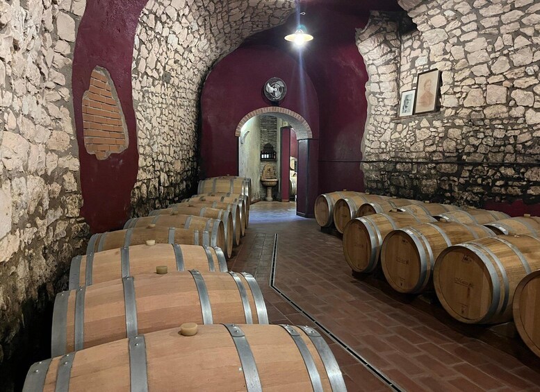 A cellar with wooden wine barrels, stone walls, and a red archway. 3