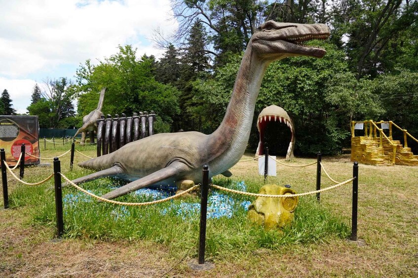 Living Dinosaurs Park Entry Ticket 1