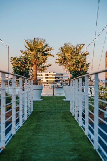 A pathway flanked by white railings, leading to a building with a modern design, and palm trees on either side. 1