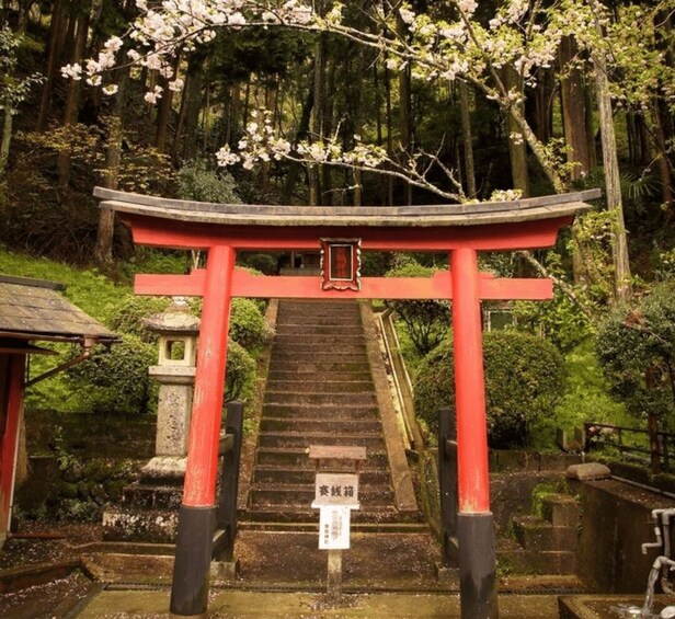 A traditional Japanese torii gate leading up a stone staircase surrounded by lush greenery and cherry blossoms. 3