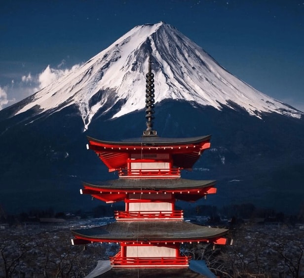 From Tokyo: Mount Fuji Private Full Day Trip with Guide 2