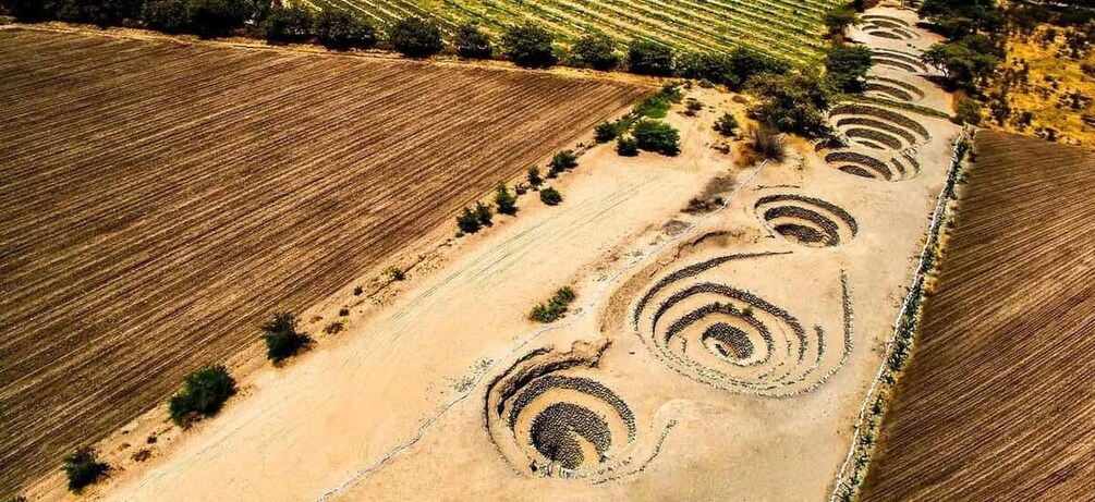 A vast agricultural field with distinct circular patterns, possibly for crop rotation or irrigation. 4