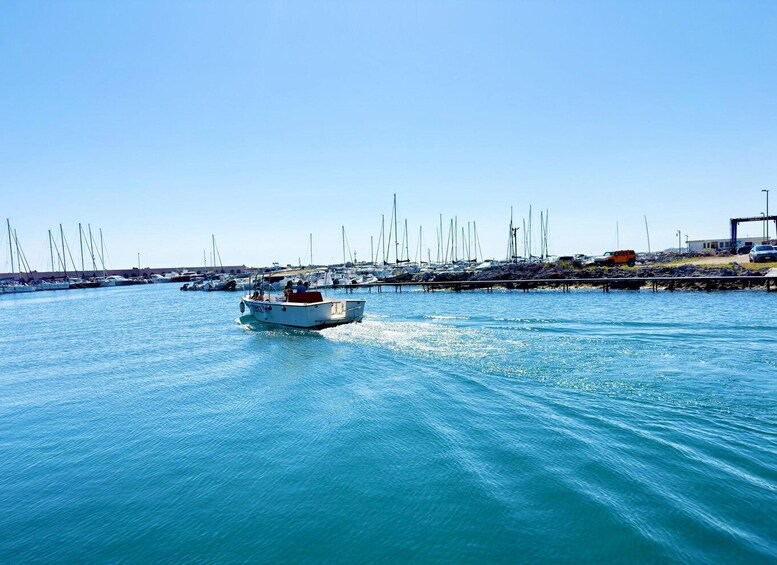 A marina with multiple sailboats docked and a small motorboat in the water. 3