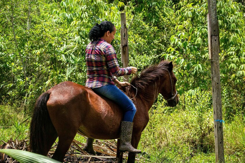 A person riding a horse through a lush green forest. 4
