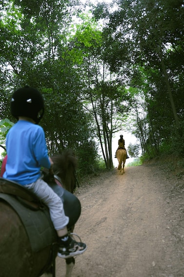 Two people riding horses on a dirt path surrounded by trees. 3