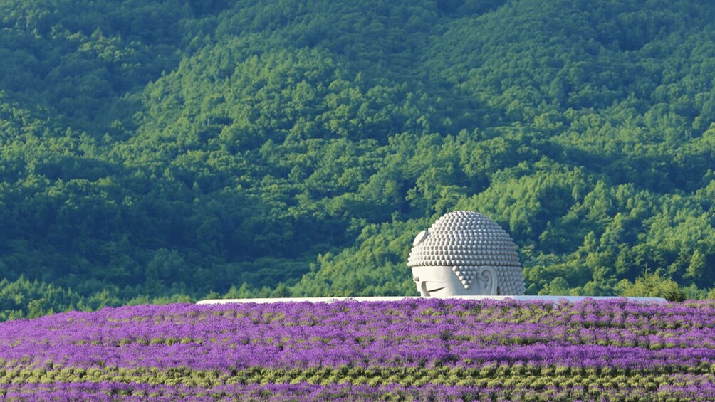 A white dome structure atop a hill, surrounded by a field of purple flowers. 3