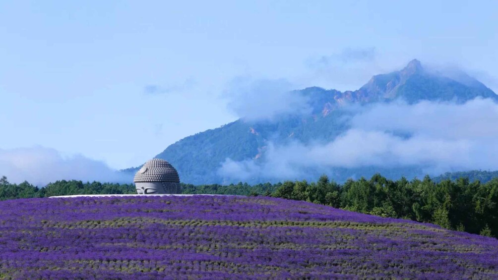 A purple flower field with a dome-shaped structure on a hill, surrounded by mountains and clouds. 1