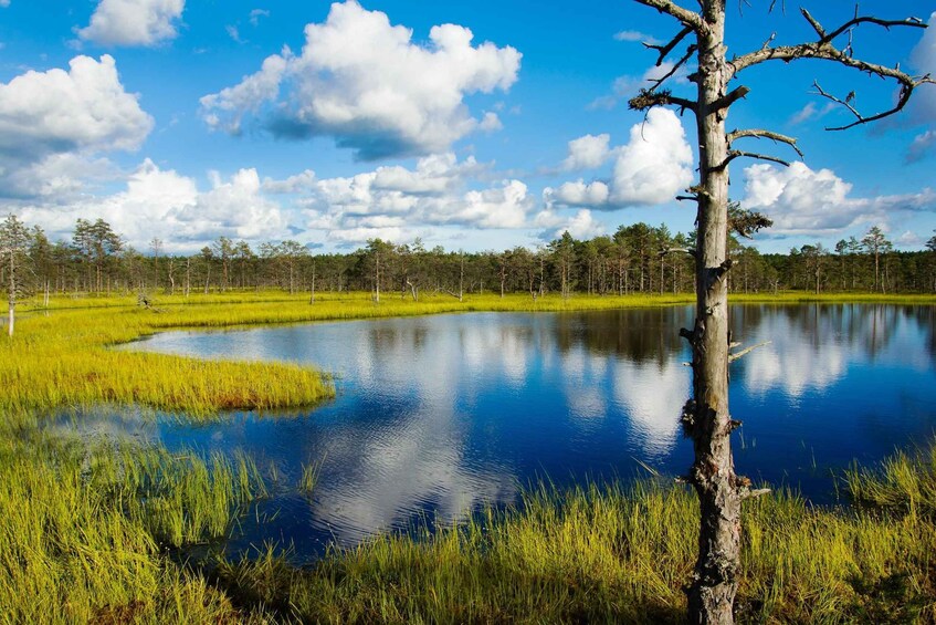A calm lake surrounded by lush greenery and a clear blue sky. 1