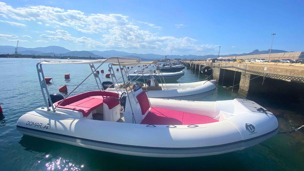 A marina with several boats docked, a bridge in the background, and mountains in the distance. 1