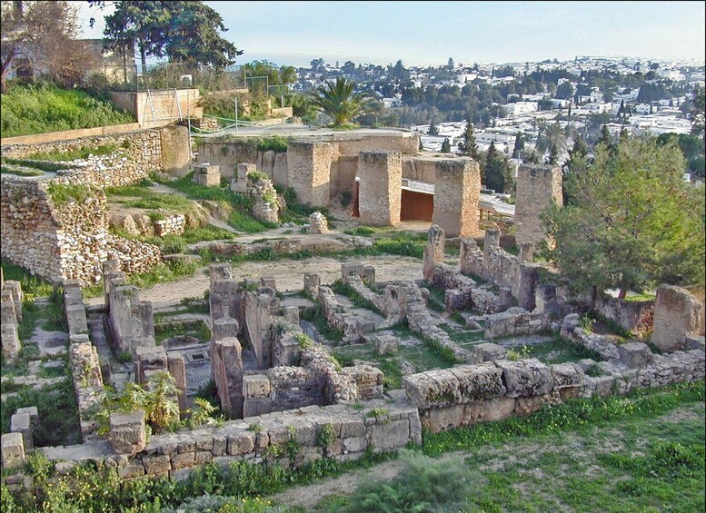 Des ruines antiques, avec des colonnes et des murs en pierre, entourées de verdure et surplombant un paysage urbain moderne. 5