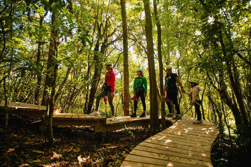 A group of people hiking on a wooden bridge in a forest. 2