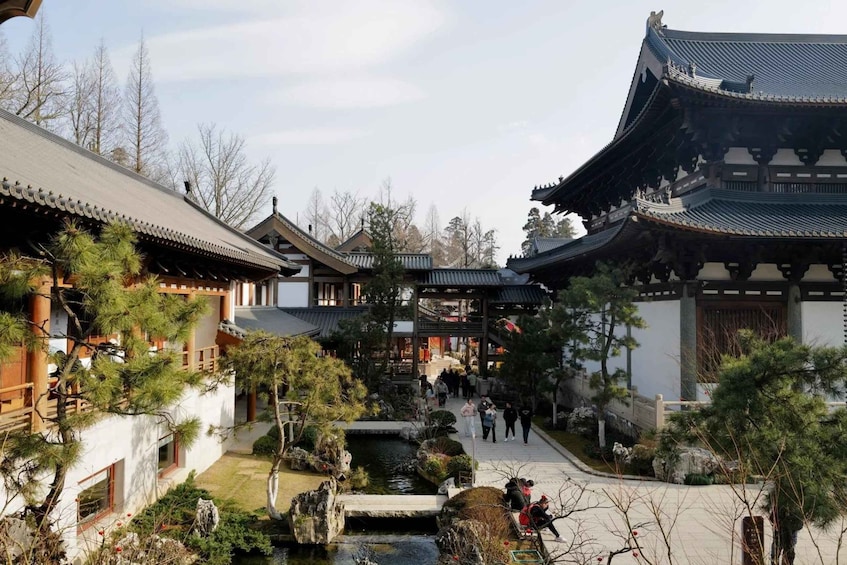 A traditional courtyard with a pond, surrounded by buildings with classic architecture. 2