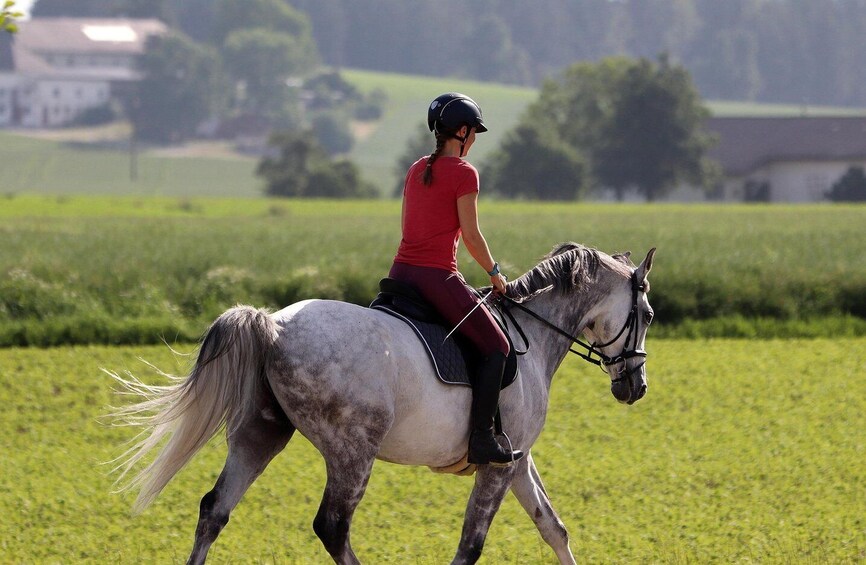 Hyllestad: Guided Horse Trek Along Forest and Shore 1