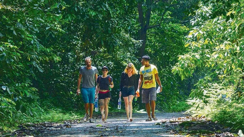 A group of people walking on a forest path surrounded by dense green foliage. 1