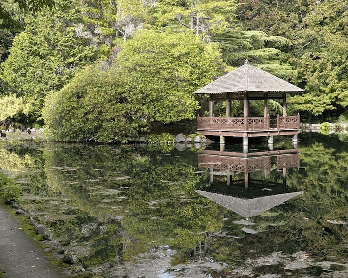 A wooden gazebo on stilts over a body of water, surrounded by lush greenery. 1