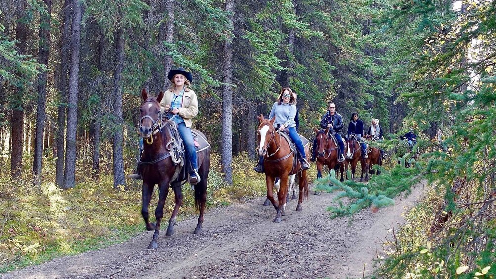 Beitostølen: 2-Hour Countryside Horse Riding Adventure 1