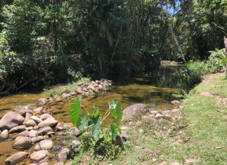 A clear stream with rocks and vegetation. 4
