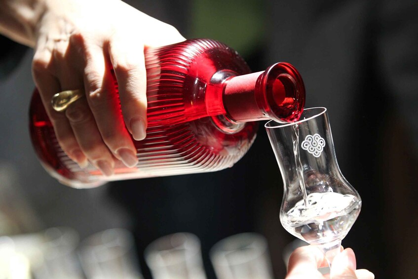Rakija Tasting and Zemun Tour Premium Distillery Experience 1