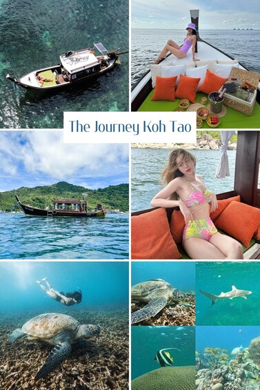 A boat with a person, a woman on a boat, a boat with a person on a green mat, a turtle, a shark, a diver, and a coral reef. 1