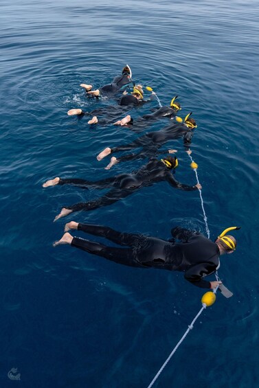 A group of people in black wetsuits floating on the water, connected by a rope. 2