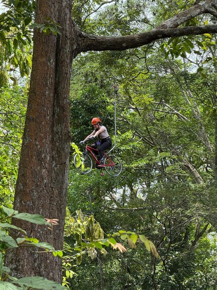 A person on a red bicycle suspended in mid-air, attached to a tree branch by a harness. 3